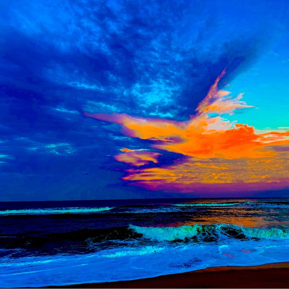 Meet your Posher, Sharon